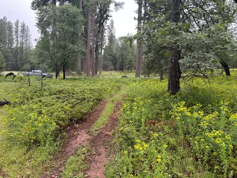 0 Campo Flores Ln, West Point, CA 95225