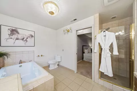 Bath - 12880 Tabeau Ct, Pine Grove, CA 95665 photo 2 of 6