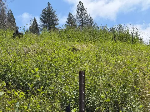 4631 Dear Abby Rd, Forest Ranch, CA 95942 photo 10