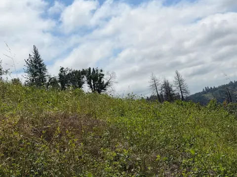 4631 Dear Abby Rd, Forest Ranch, CA 95942 photo 9