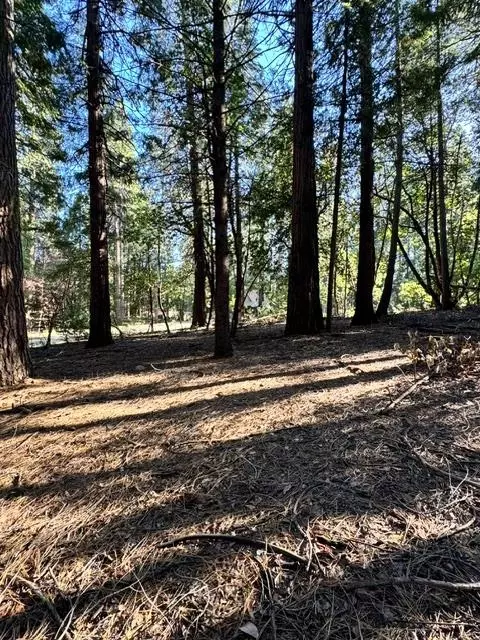 27059 Antelope Dr, Pioneer, CA 95666