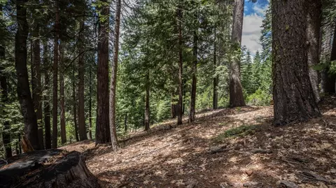 4648 Jibway Dr, Dorrington, CA 95223