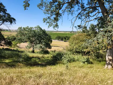 22601 N Johnson Rd, Clements, CA 95227 photo 31