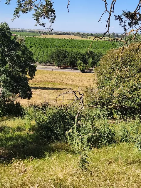 22601 N Johnson Rd, Clements, CA 95227 photo 34