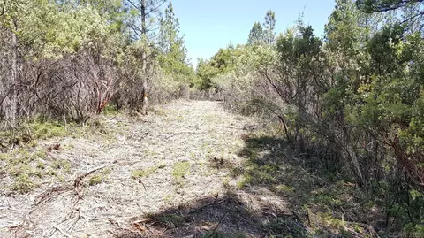 0 Deardorff Rd, Glencoe, CA 95232 photo 18