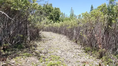 0 Deardorff Rd, Glencoe, CA 95232 photo 15