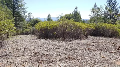 0 Deardorff Rd, Glencoe, CA 95232 photo 27