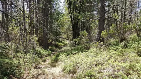 0 Deardorff Rd, Glencoe, CA 95232 photo 4