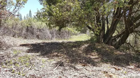 0 Deardorff Rd, Glencoe, CA 95232 photo 17