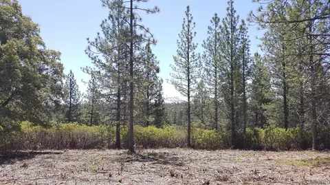 0 Deardorff Rd, Glencoe, CA 95232 photo 11