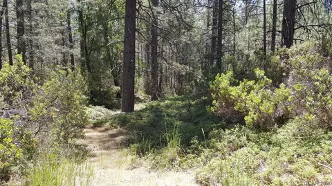 0 Deardorff Rd, Glencoe, CA 95232 photo 5