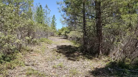 0 Deardorff Rd, Glencoe, CA 95232 photo 16