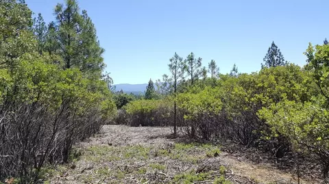 0 Deardorff Rd, Glencoe, CA 95232 photo 13