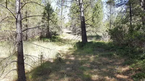 0 Deardorff Rd, Glencoe, CA 95232 photo 9