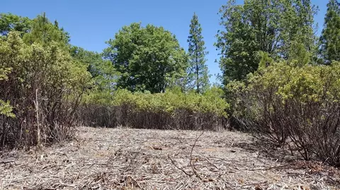 0 Deardorff Rd, Glencoe, CA 95232 photo 22