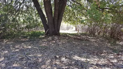0 Deardorff Rd, Glencoe, CA 95232 photo 21