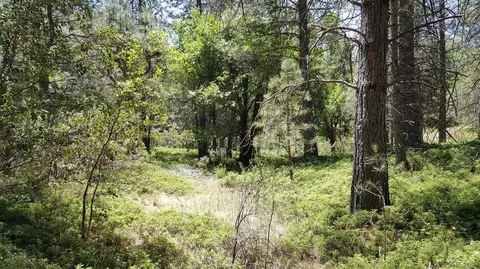 0 Deardorff Rd, Glencoe, CA 95232 photo 2