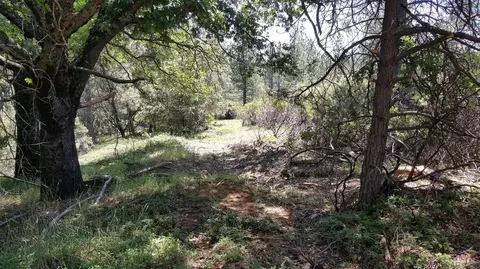 0 Deardorff Rd, Glencoe, CA 95232 photo 6