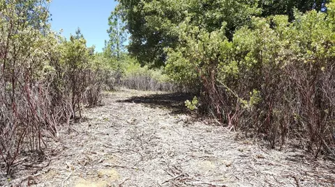 0 Deardorff Rd, Glencoe, CA 95232 photo 14