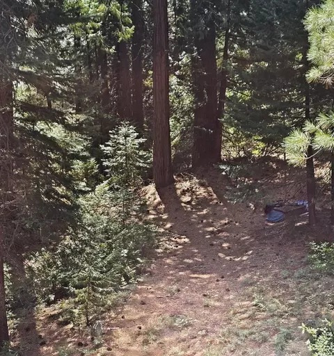 Other - 41100 Putt Rd, Alta, CA 95701 photo 1 of 1