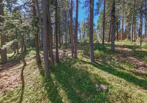 Exterior - 2629 Valley View Dr, Arnold, CA 95223 photo 7 of 8