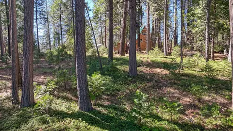 Exterior - 2629 Valley View Dr, Arnold, CA 95223 photo 5 of 8