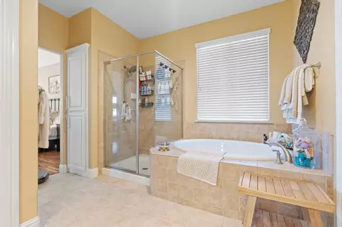 Bath - 175 Feverfew St, Manteca, CA 95337 photo 4 of 4