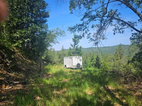 5148 Wylderidge Dr, Murphys, CA 95247 photo 3