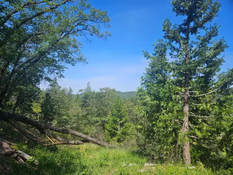 5148 Wylderidge Dr, Murphys, CA 95247 photo 2