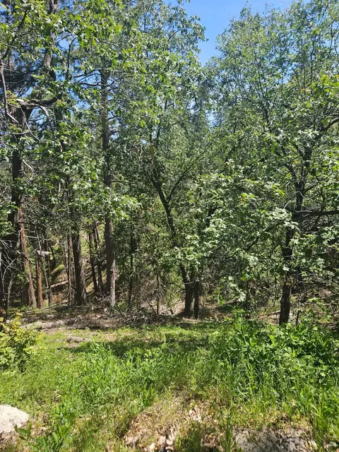 5148 Wylderidge Dr, Murphys, CA 95247 photo 9