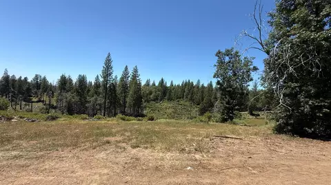 371 Blossom Ln, Mokelumne Hill, CA 95245