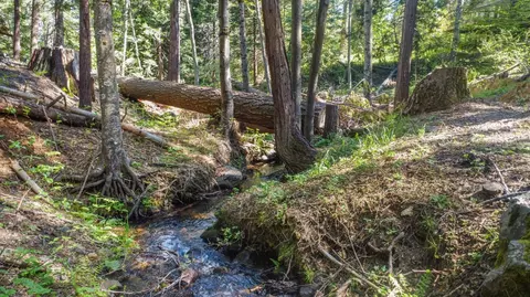 2159 Sierra Pkwy, Dorrington, CA 95223