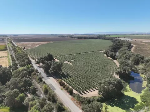 20456 County Road 103, Woodland, CA 95776