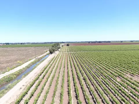 20860 N Devries Rd, Lodi, CA 95242 photo 6