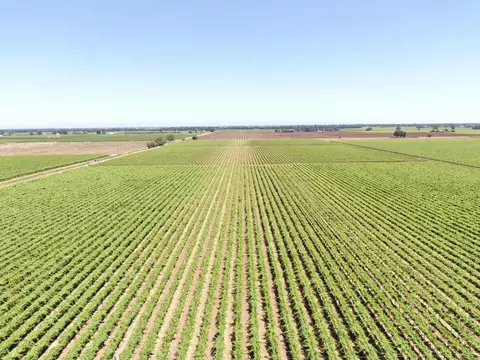 20860 N Devries Rd, Lodi, CA 95242 photo 4