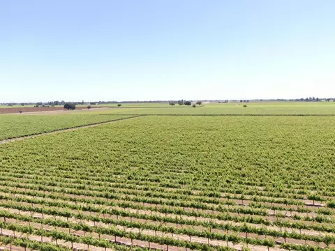 20860 N Devries Rd, Lodi, CA 95242 photo 7