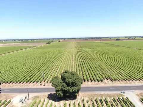 20860 N Devries Rd, Lodi, CA 95242 photo 5