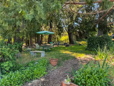 Exterior - 48 Pine St, West Point, CA 95255 photo 16 of 35