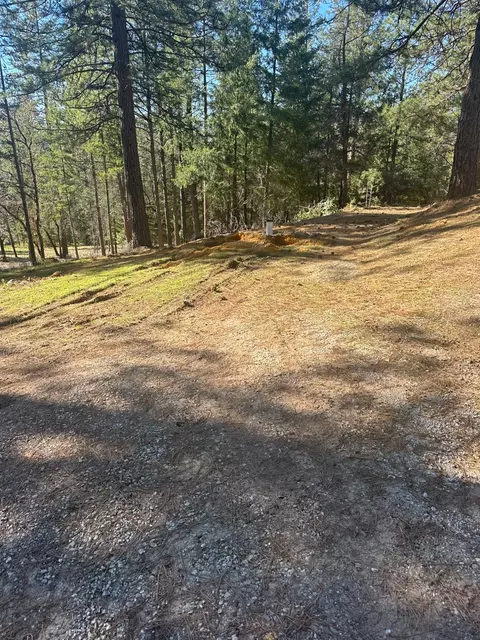 Other - 4961 Cedar Ravine Rd, Placerville, CA 95667 photo 5 of 5