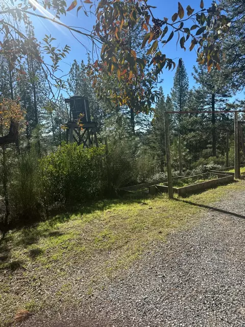 Exterior - 4961 Cedar Ravine Rd, Placerville, CA 95667 photo 6 of 6