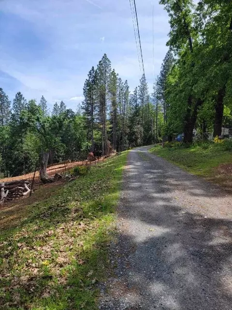 6461 Forest View Dr, Georgetown, CA 95634 photo 2