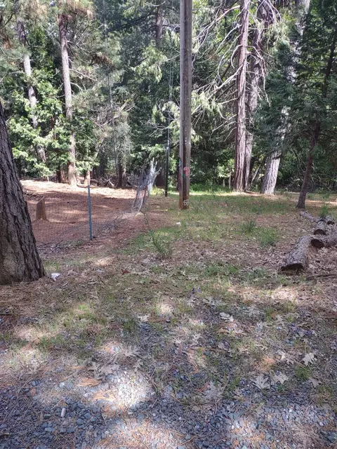6461 Forest View Dr, Georgetown, CA 95634 photo 13