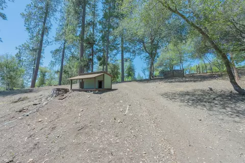 Exterior - 1479 Roaring Cp, Murphys, CA 95247 photo 11 of 23