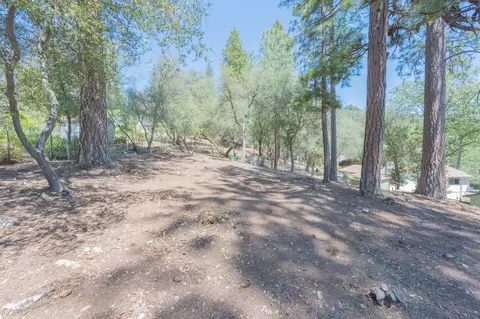 Exterior - 1479 Roaring Cp, Murphys, CA 95247 photo 14 of 23