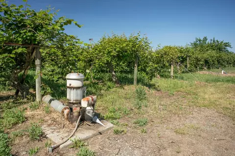 Other - 1090 Gilstrap Ave, Gridley, CA 95948 photo 19 of 31