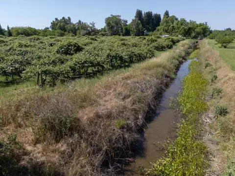 View/Area - 1090 Gilstrap Ave, Gridley, CA 95948 photo 11 of 14