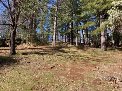 1262 Heather Dr, Murphys, CA 95247 photo 6