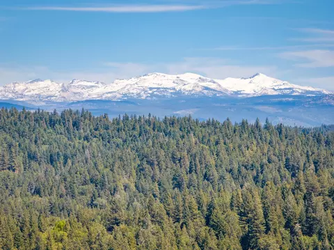 6420 Starkes Grade Rd, Pollock Pines, CA 95726