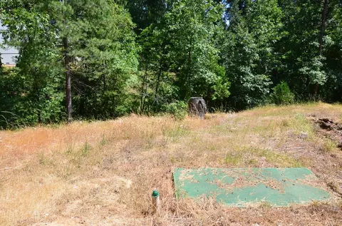 662 Roan Way, Avery, CA 95224 photo 3