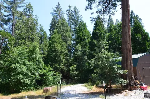 662 Roan Way, Avery, CA 95224 photo 7